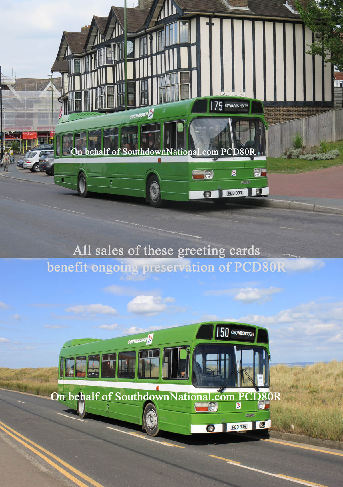 Southdown Leyland National PCD 8OR Greeting Cards